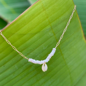 Gold Paperclip Necklace with Puka/Cowrie