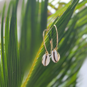 Gold Cowrie Hoops