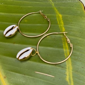 Gold Cowrie Hoops