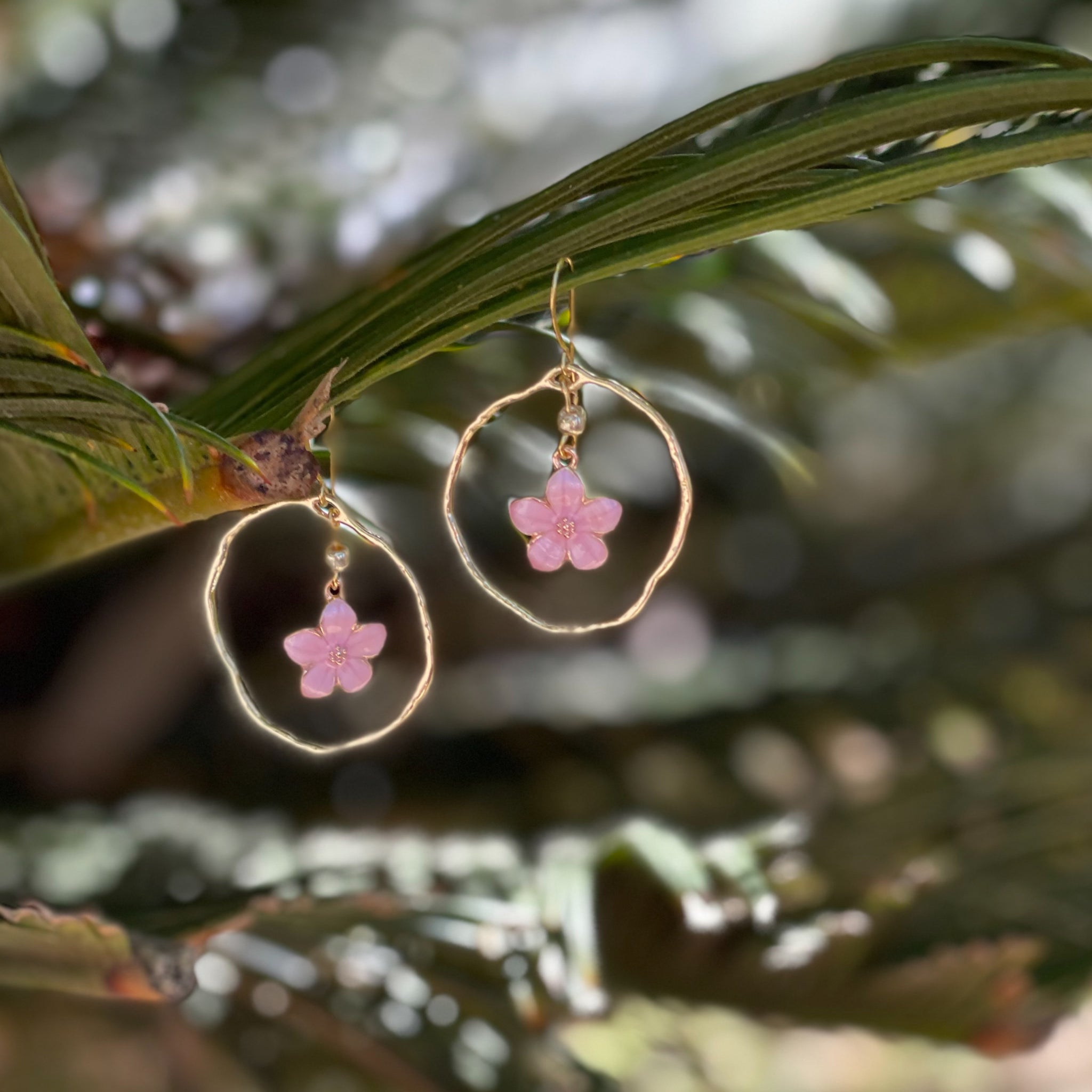 Hibiscus Circles