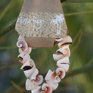 3 Conchas Set