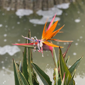 Bird of Paradise Bracelet Stack
