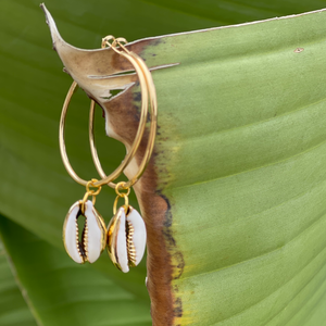 Gold Cowrie Hoops