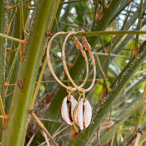Gold Cowrie Hoops
