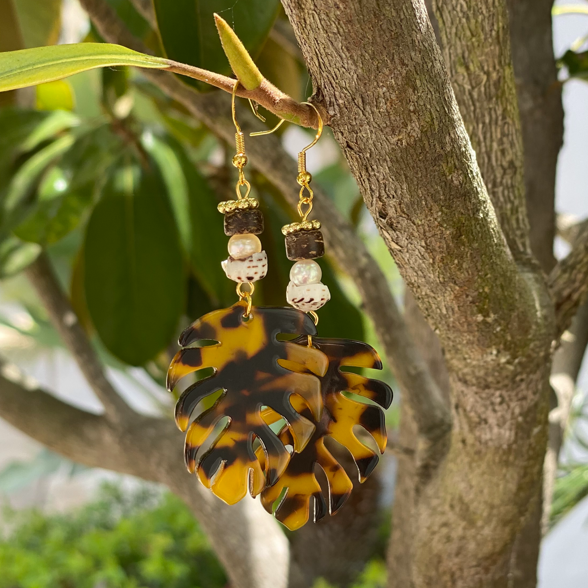 Tortoise Palm Fronds