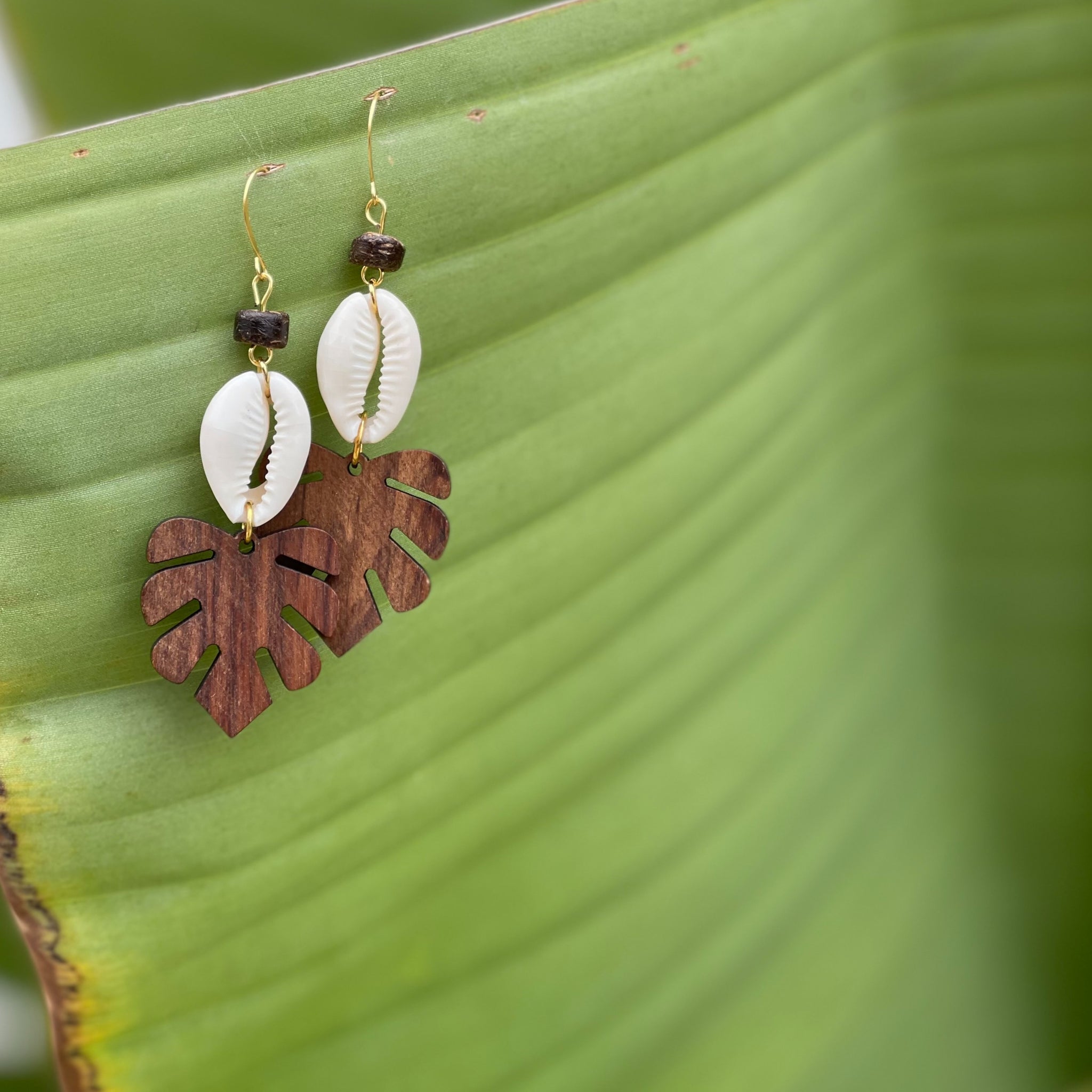 Woodie Palm Fronds