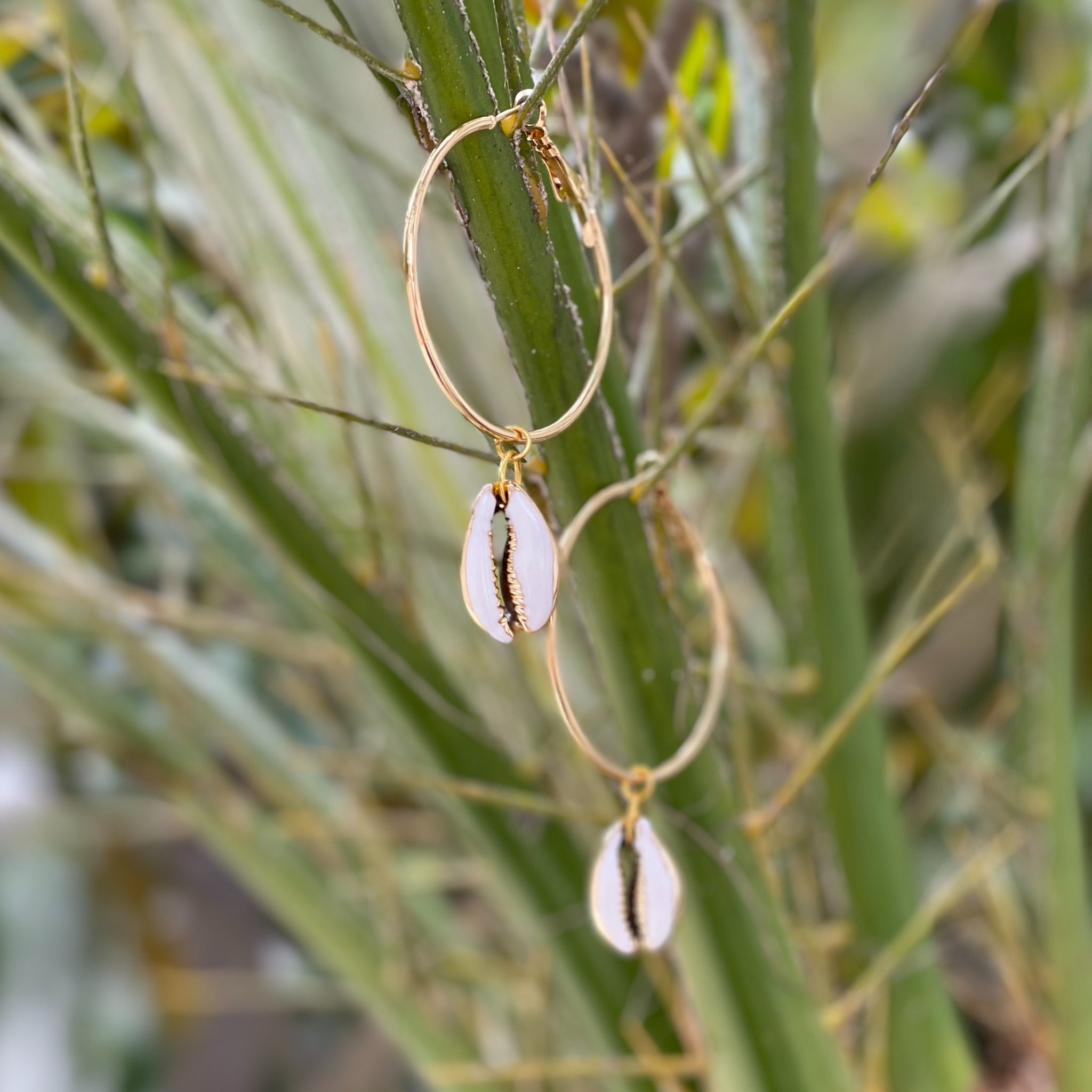 Gold Cowrie Hoops