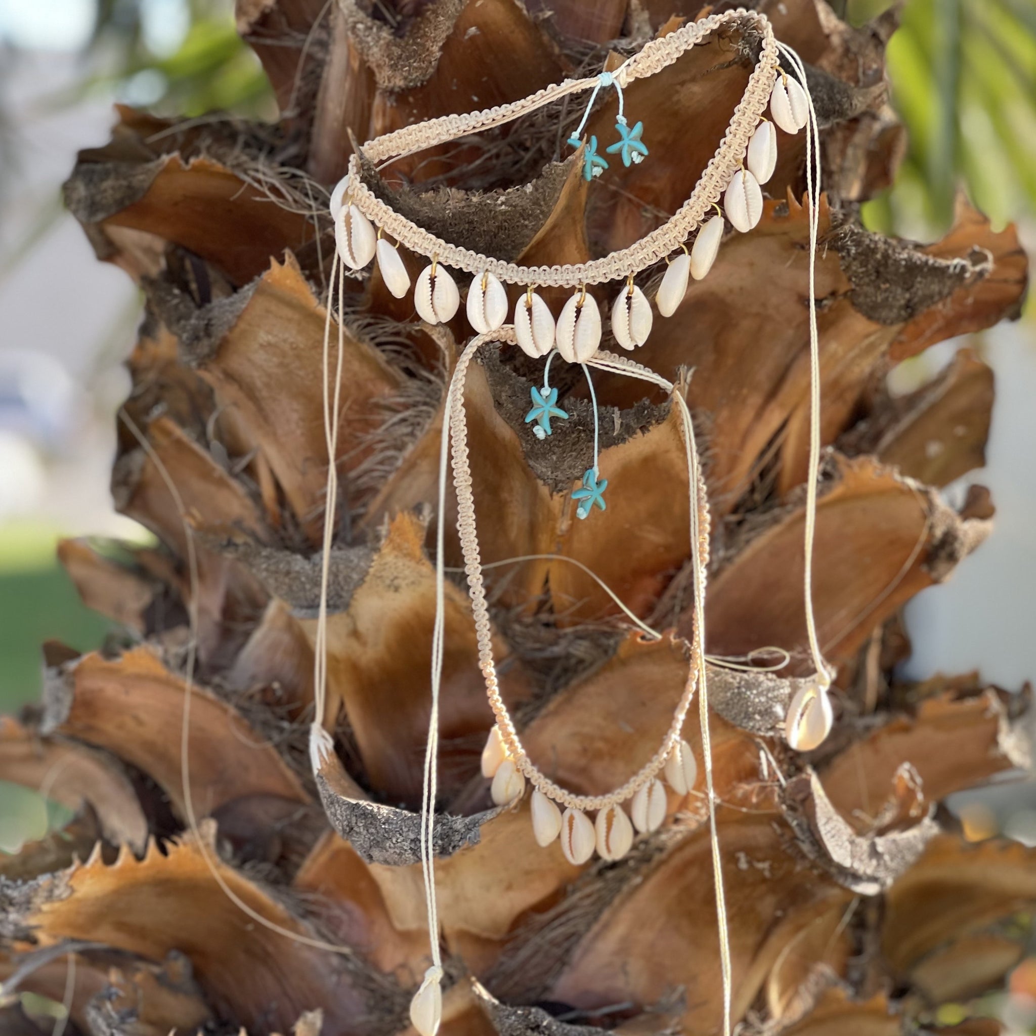 Cowrie Shell Dangle Necklaces