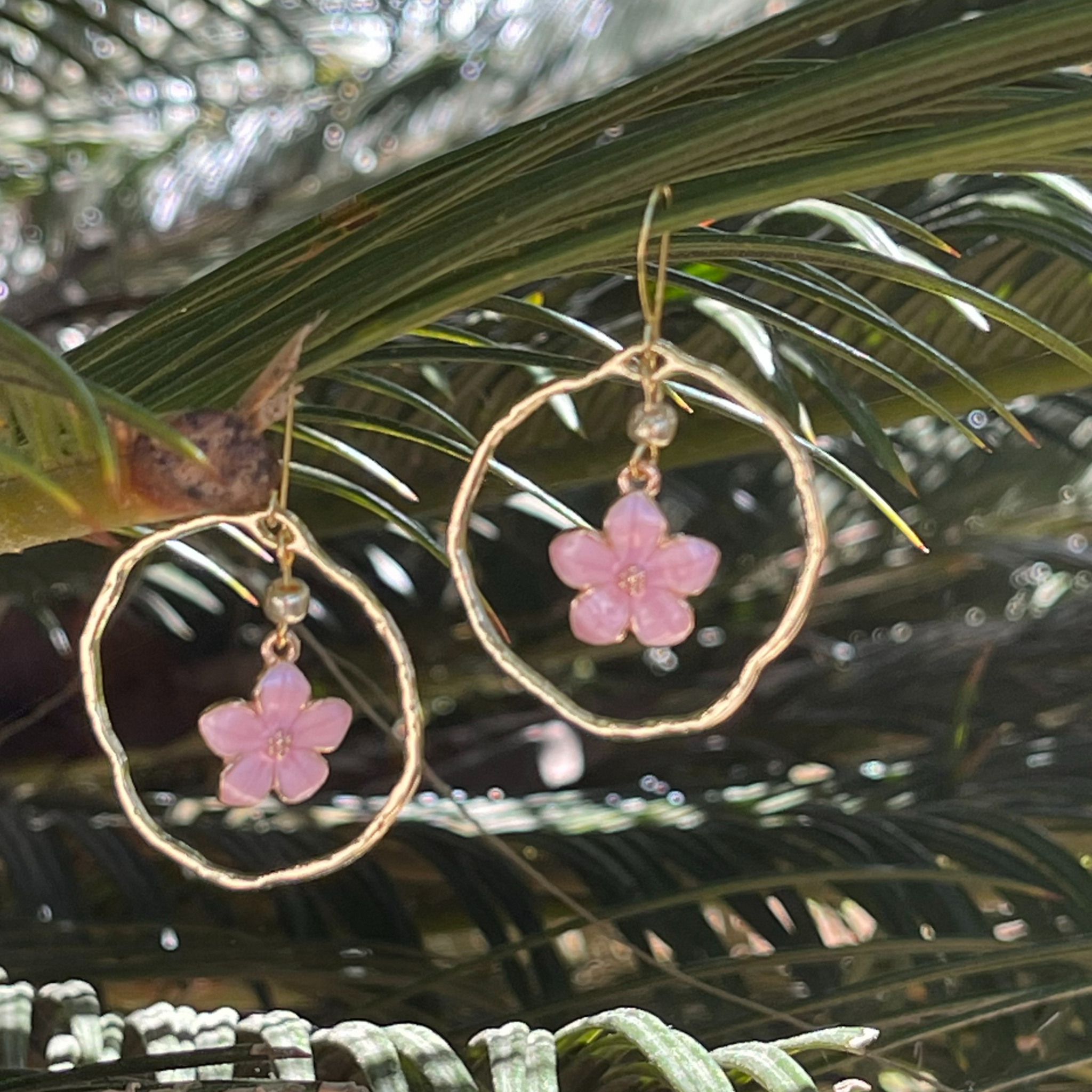 Hibiscus Circles