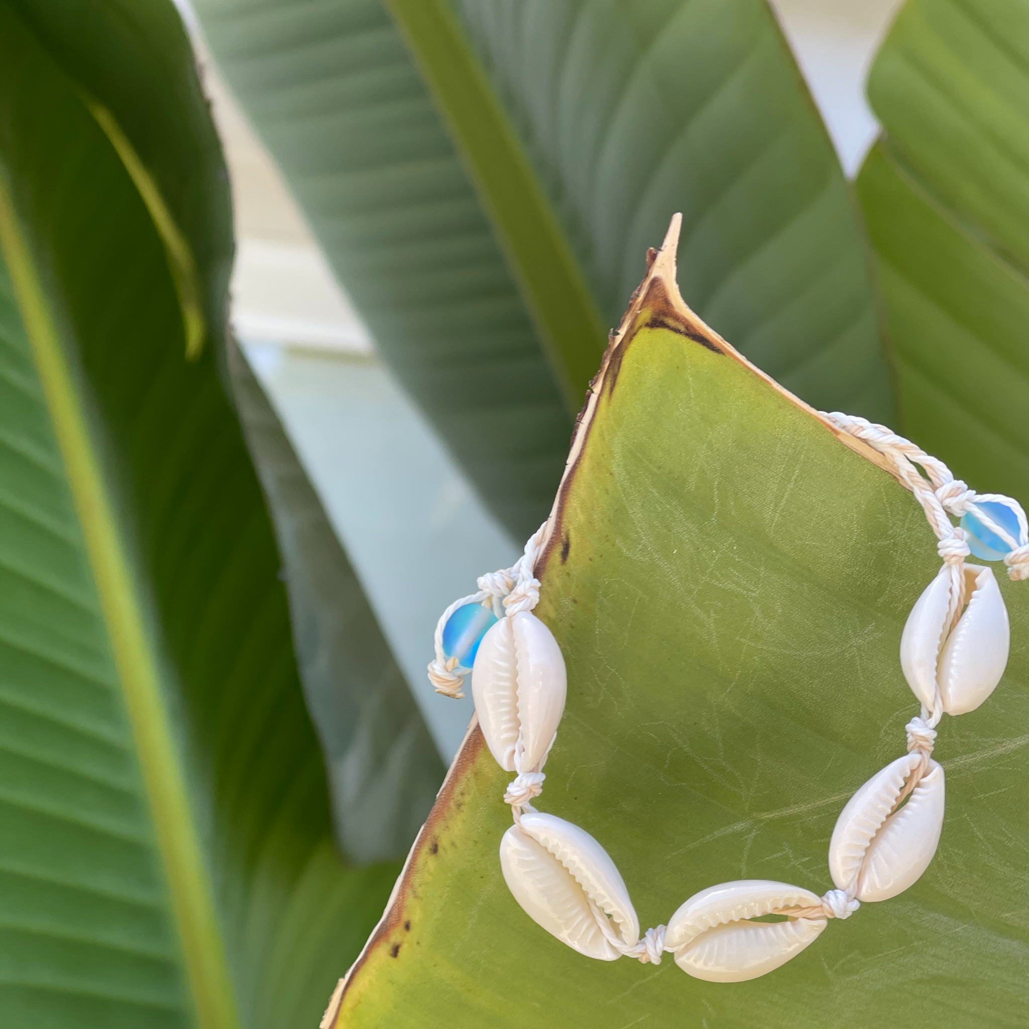 Simple Cowrie Shell Bracelet/Necklace/Anklet