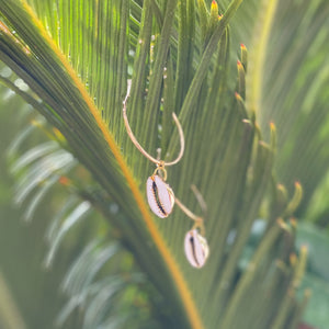 Gold Cowrie Hoops