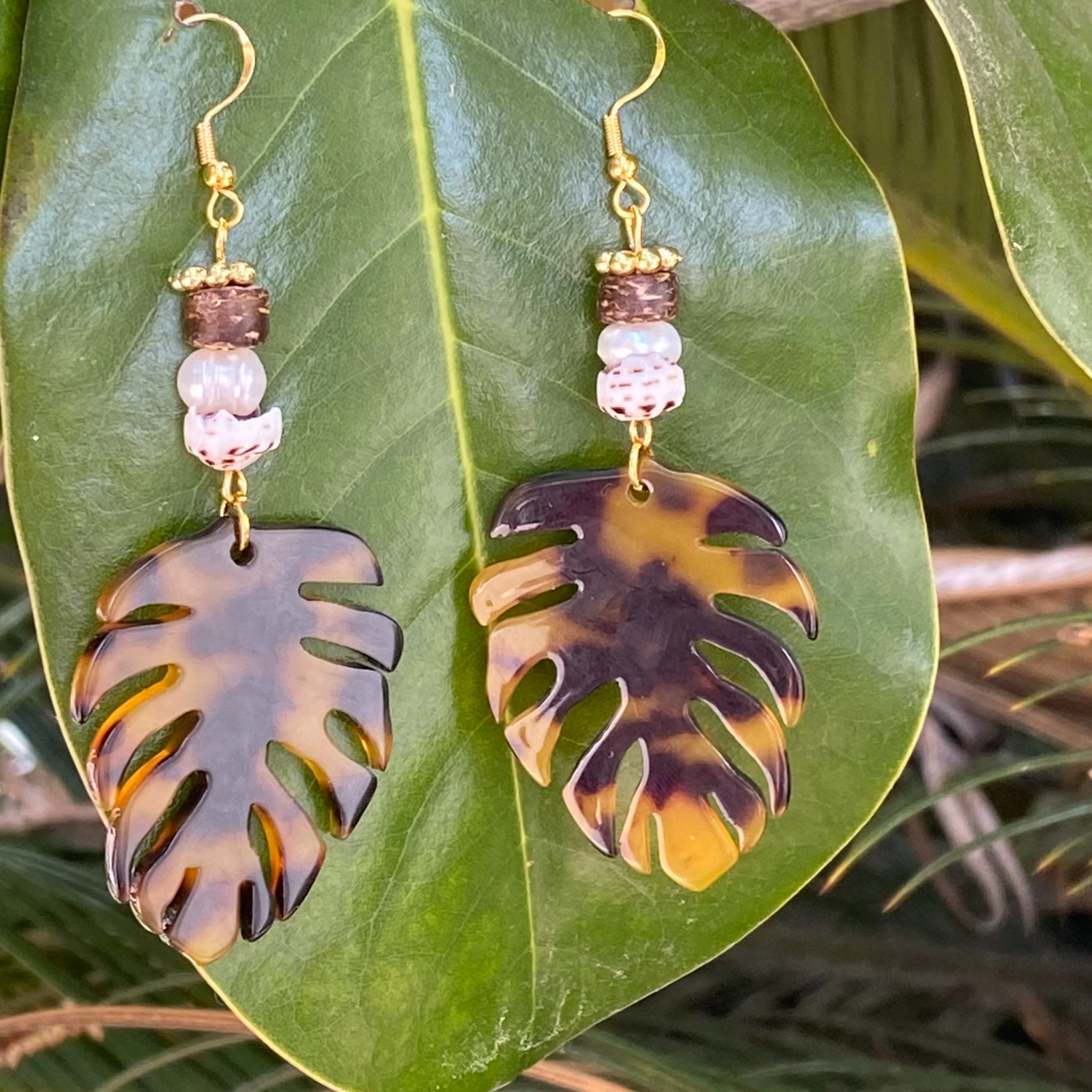 Tortoise Palm Fronds