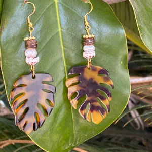 Tortoise Palm Fronds