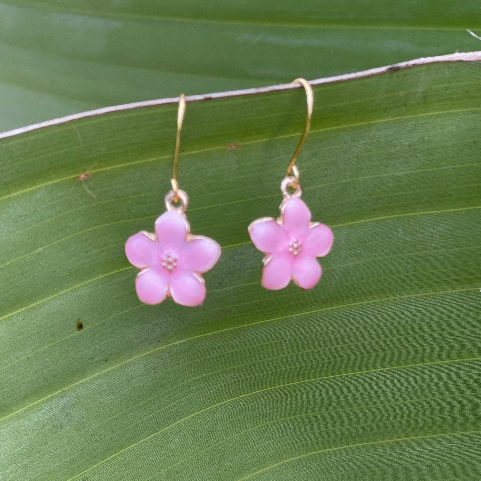 Mini Pink Hibiscus