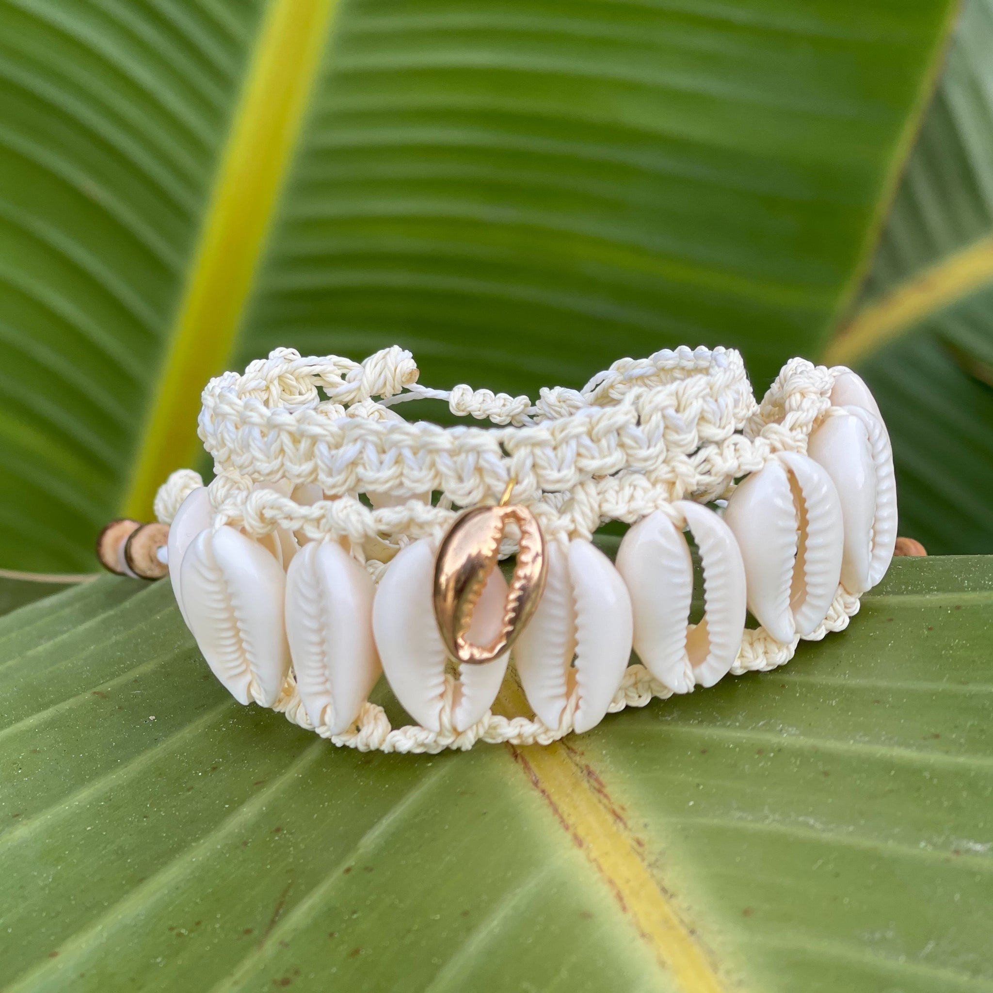 Knotted Cowrie Bracelet