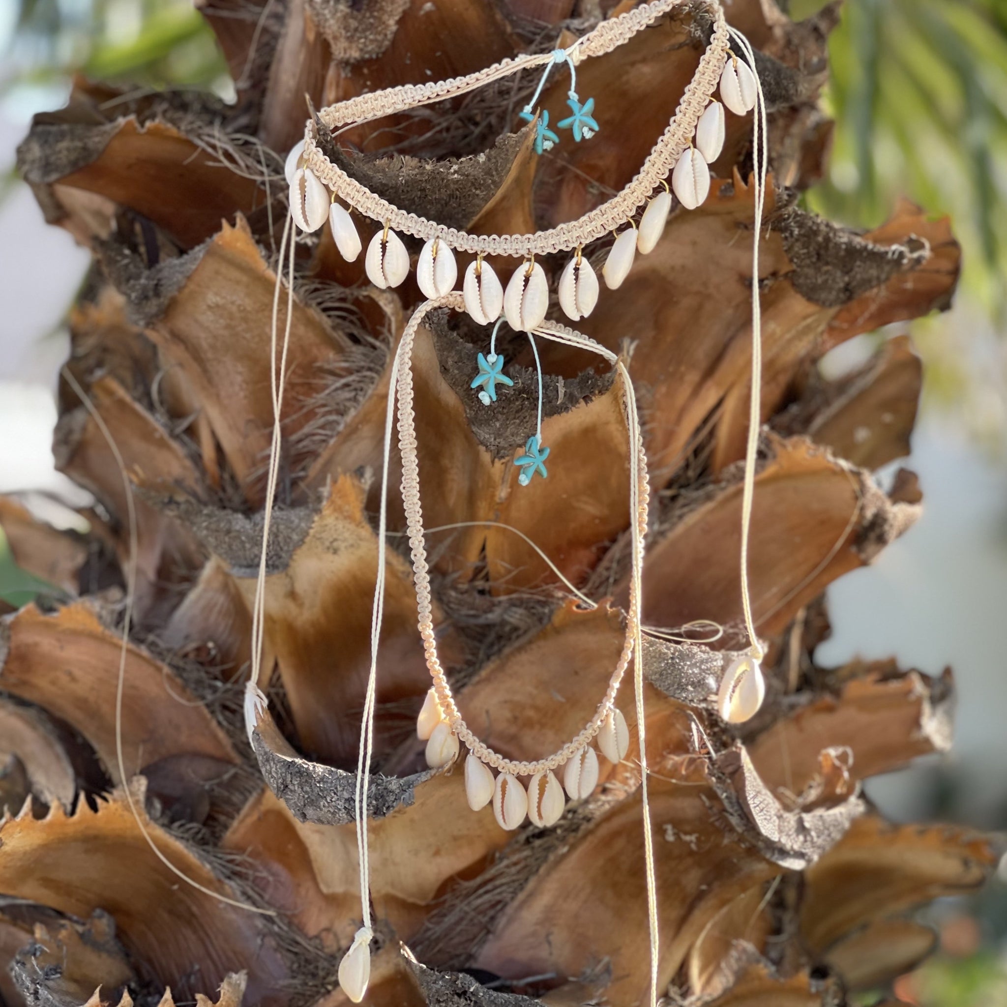 Cowrie Shell Dangle Necklaces