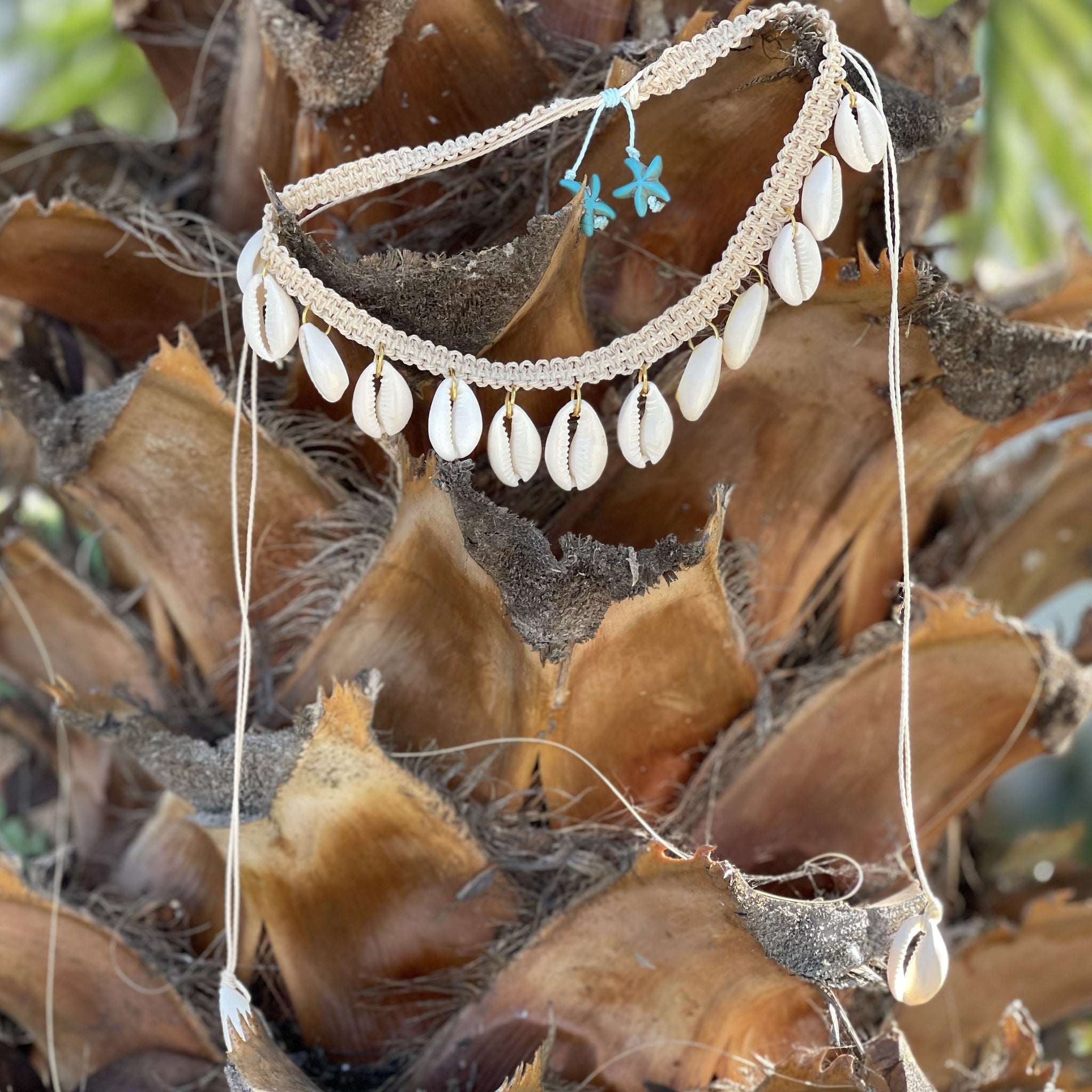 Cowrie Shell Dangle Necklaces