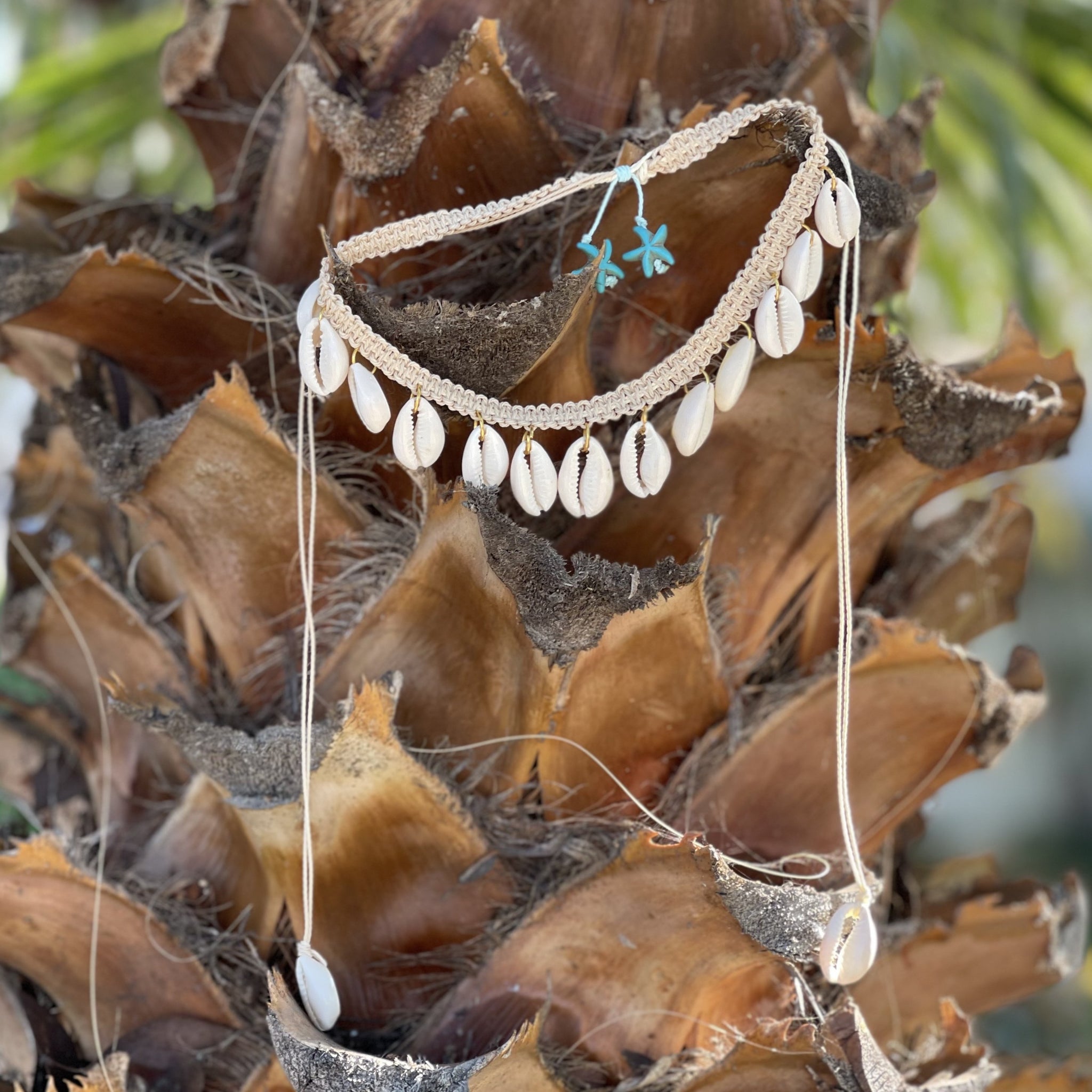 Cowrie Shell Dangle Necklaces
