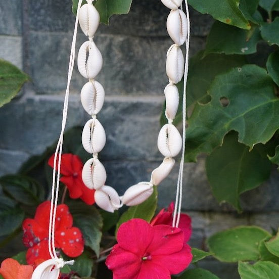 Cowrie Shell Necklace