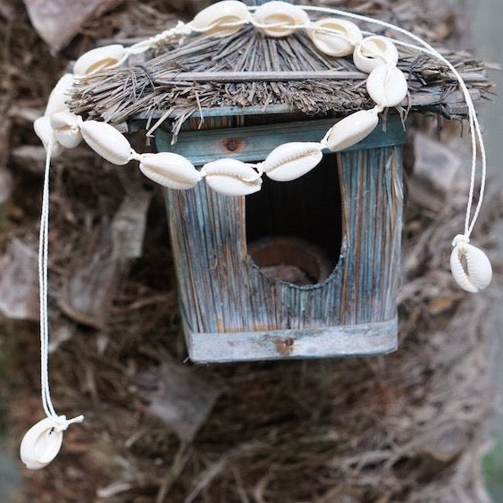 Cowrie Shell Necklace