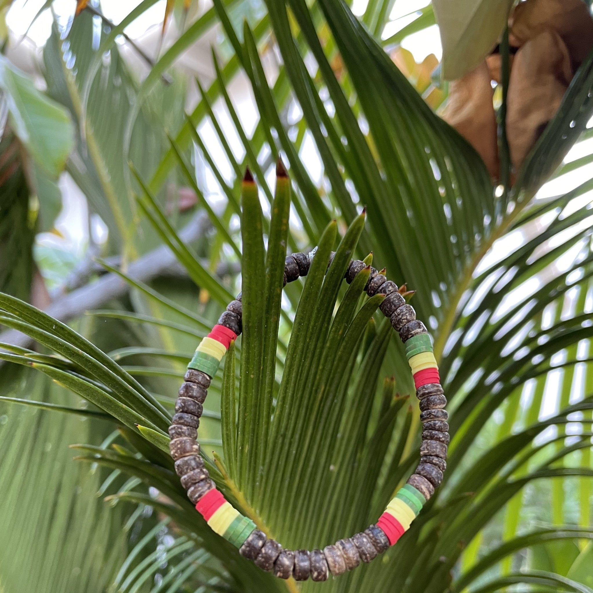Rasta Coconut