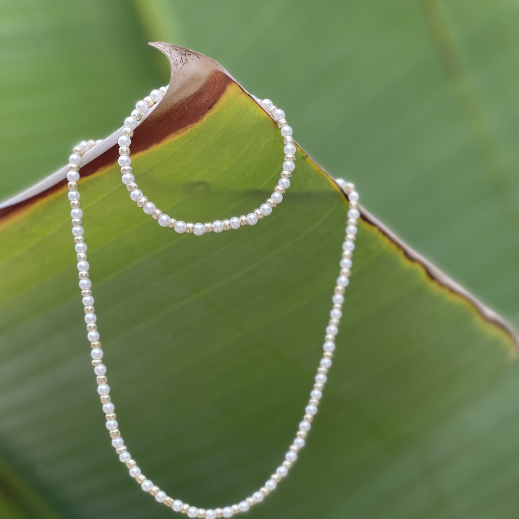 Coconut Girl Collection -White/Gold