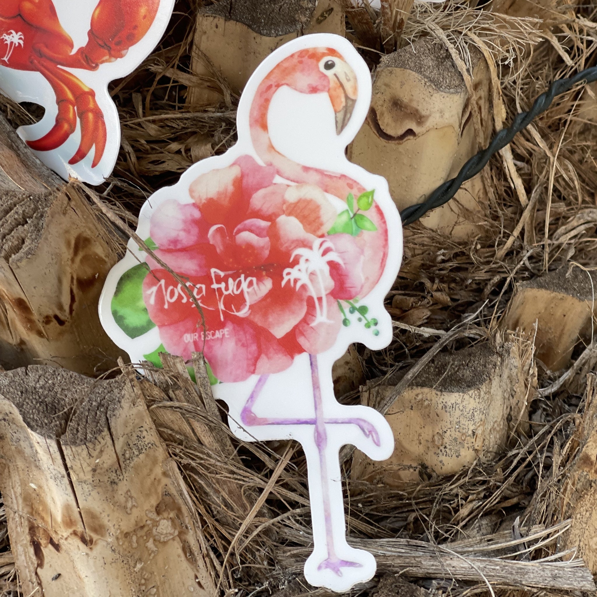 Beachy Stickers