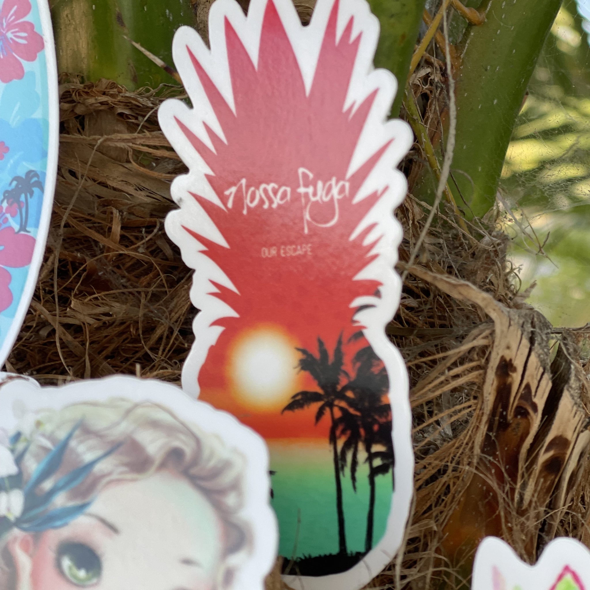 Beachy Stickers