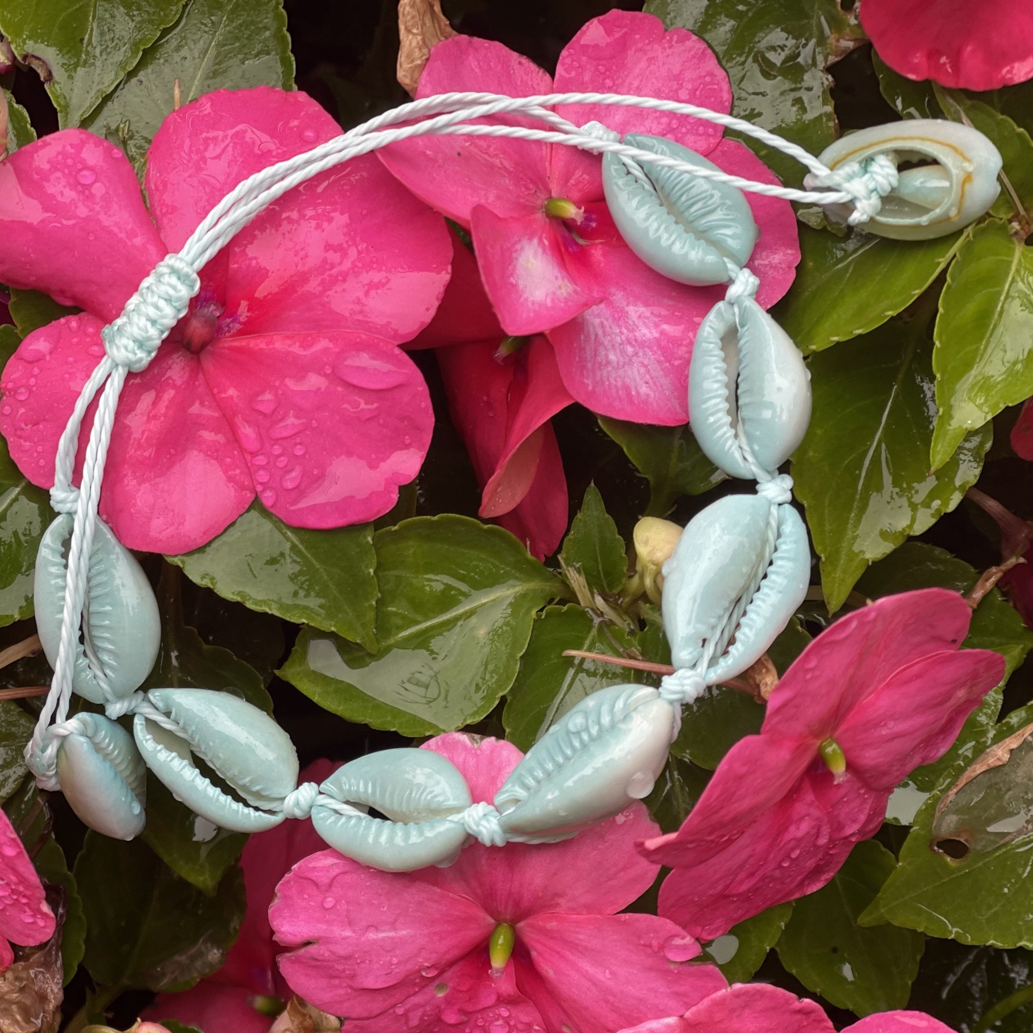 Aqua Cowries