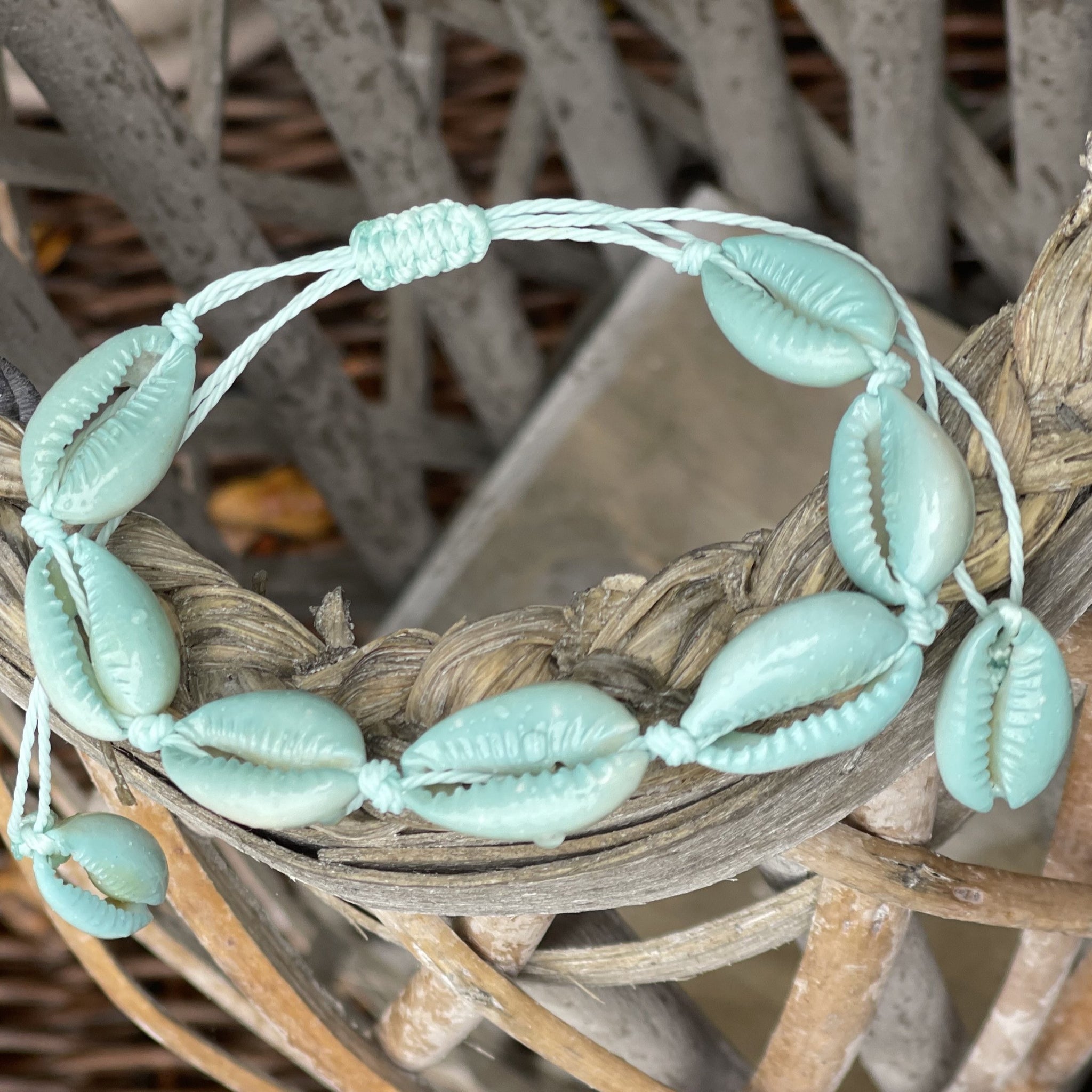 Aqua Cowries