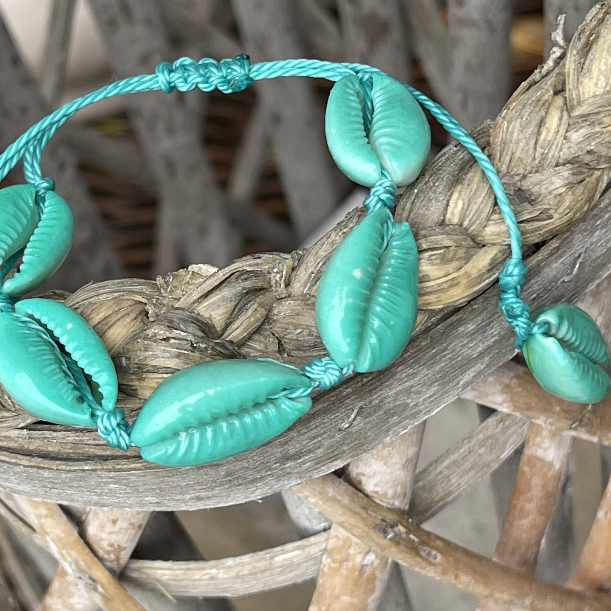 Aqua Cowries