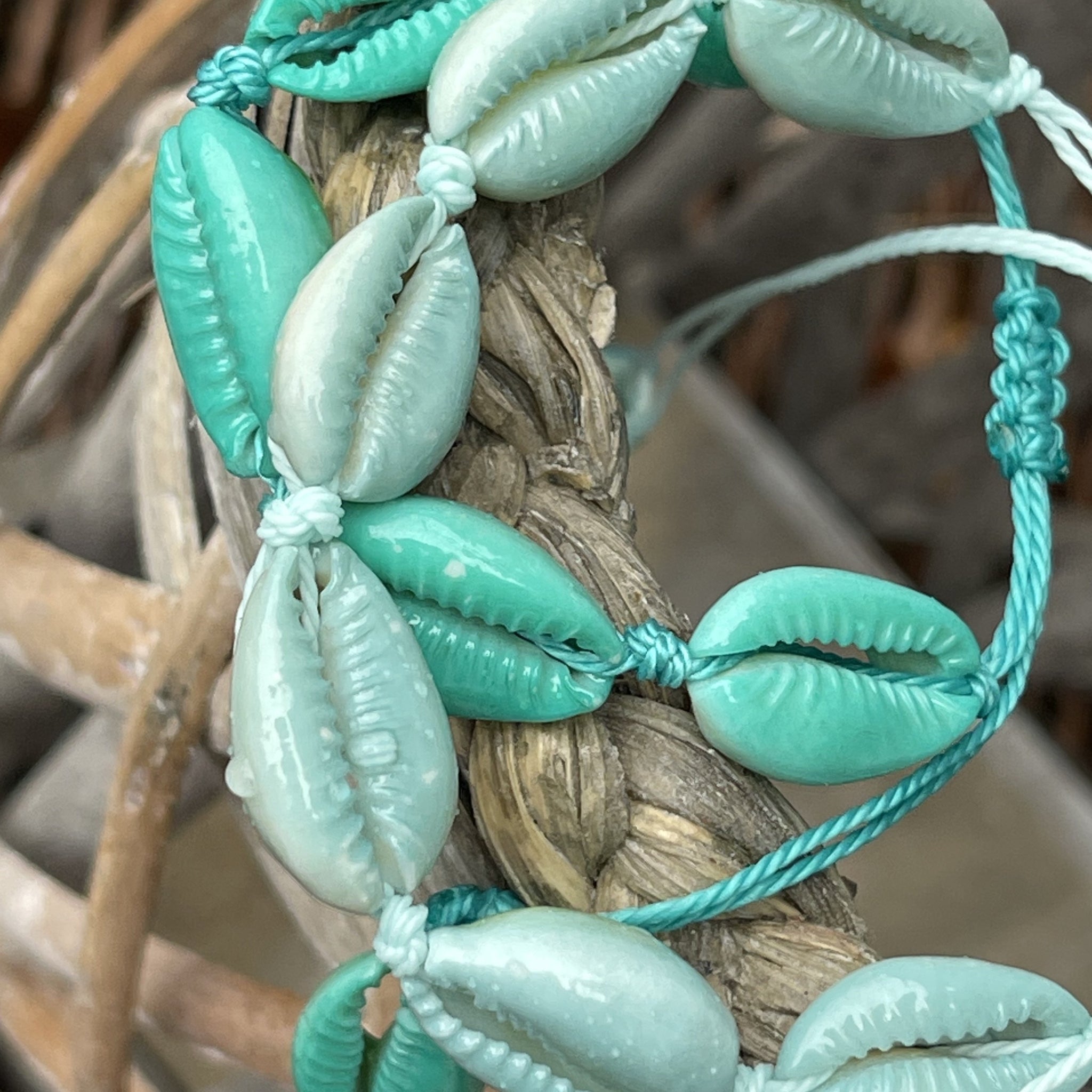 Aqua Cowries