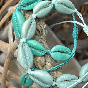 Aqua Cowries