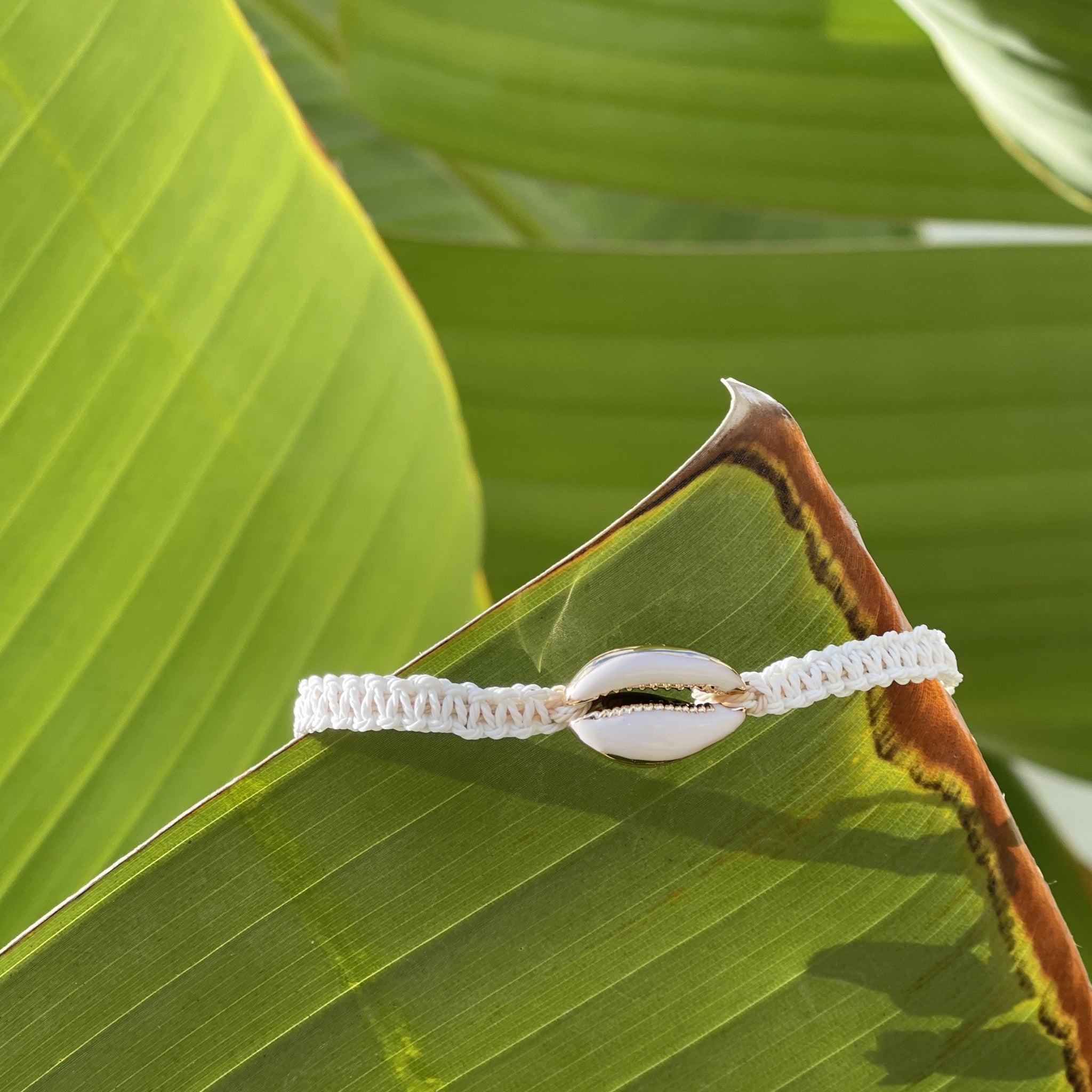Gold and White Cowrie Bracelet