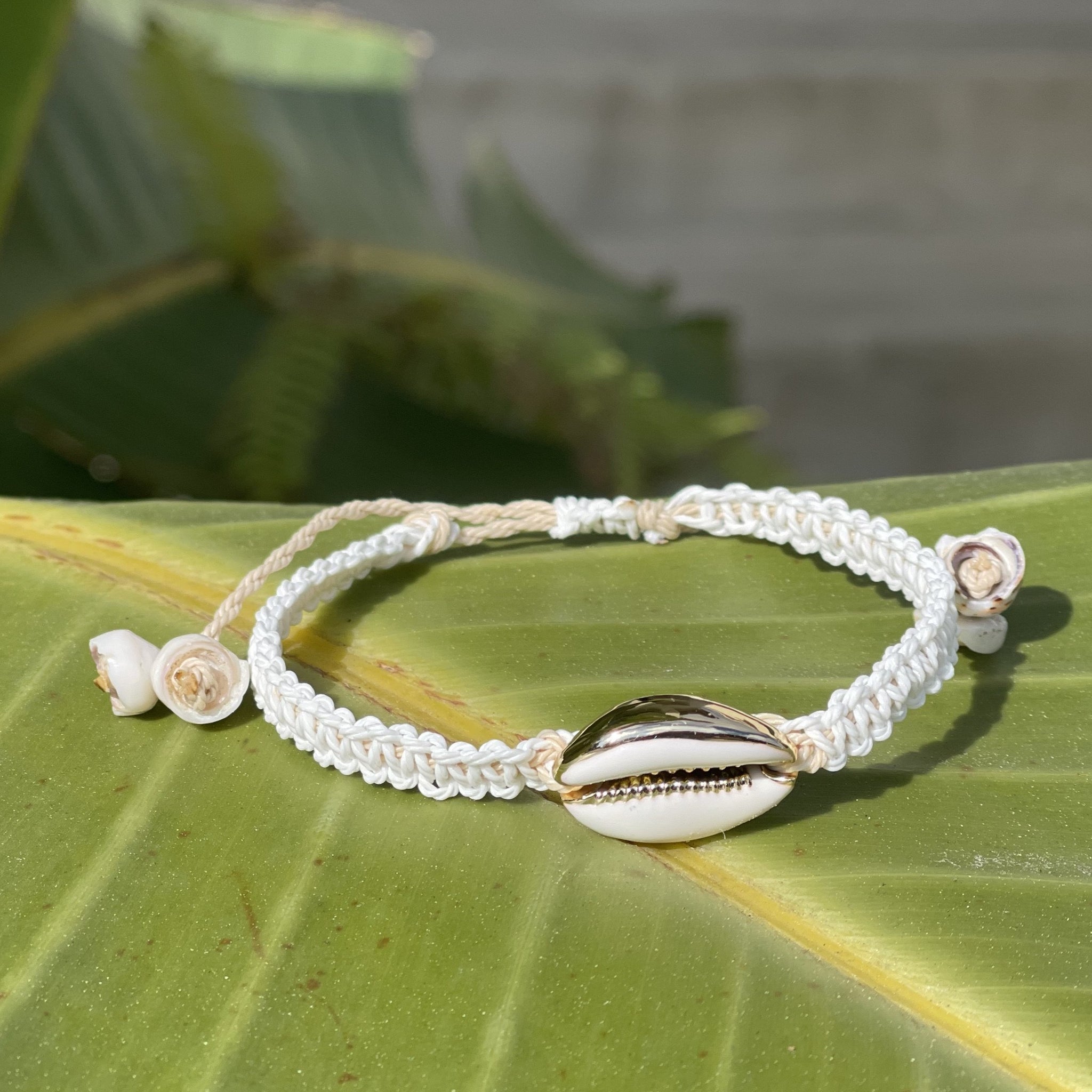 Gold and White Cowrie Bracelet