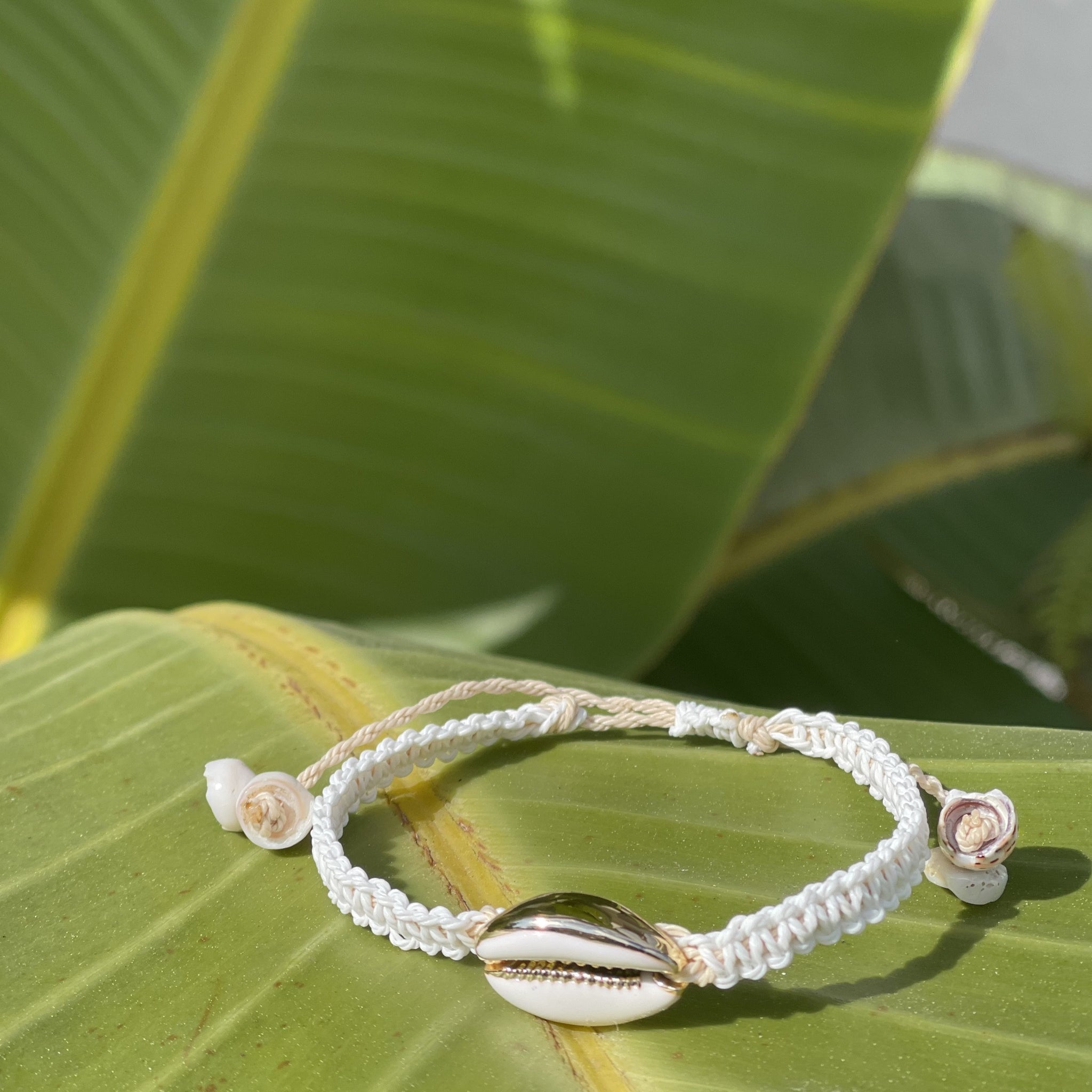Gold and White Cowrie Bracelet