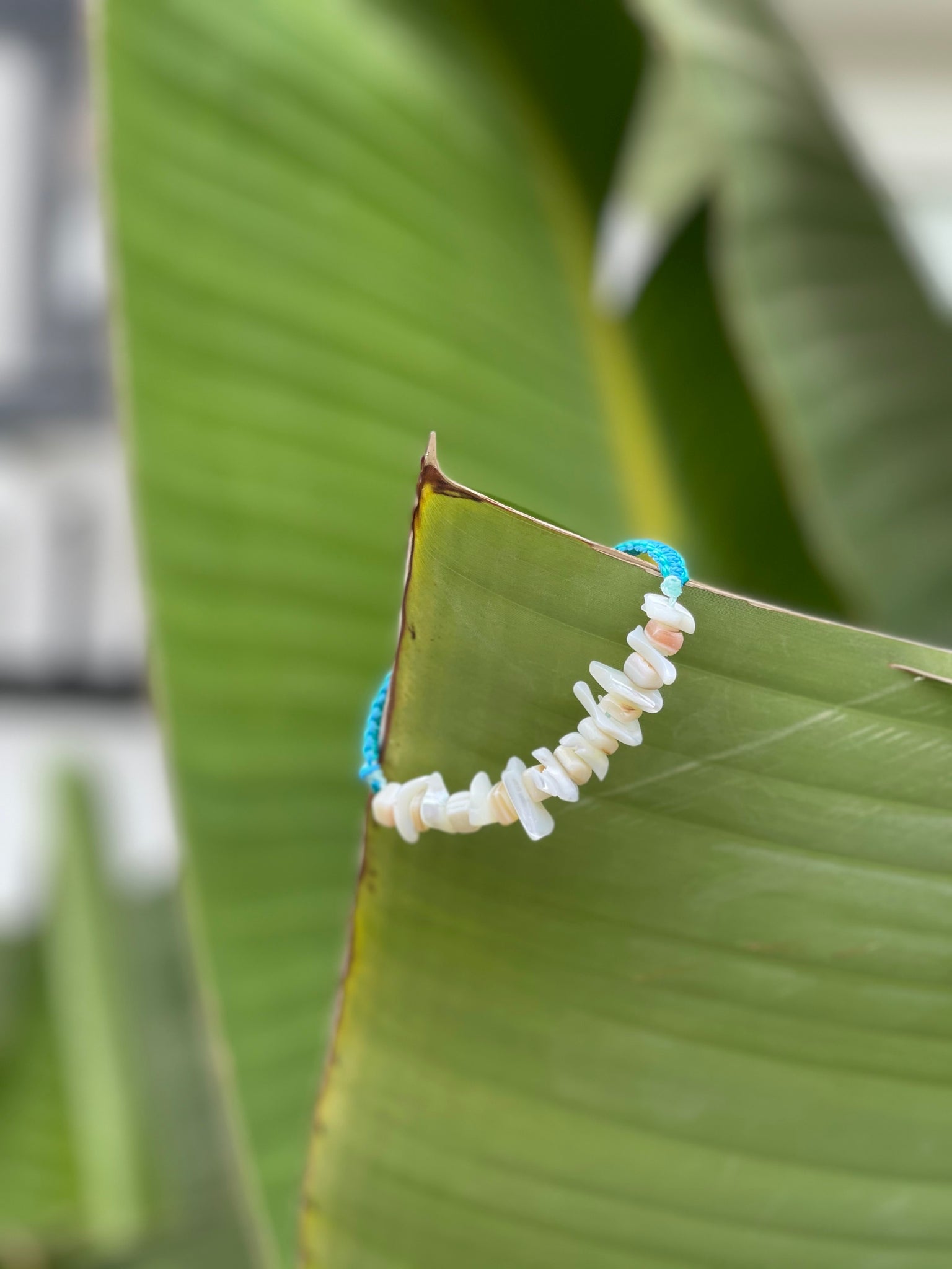 Shell Flower Bracelets