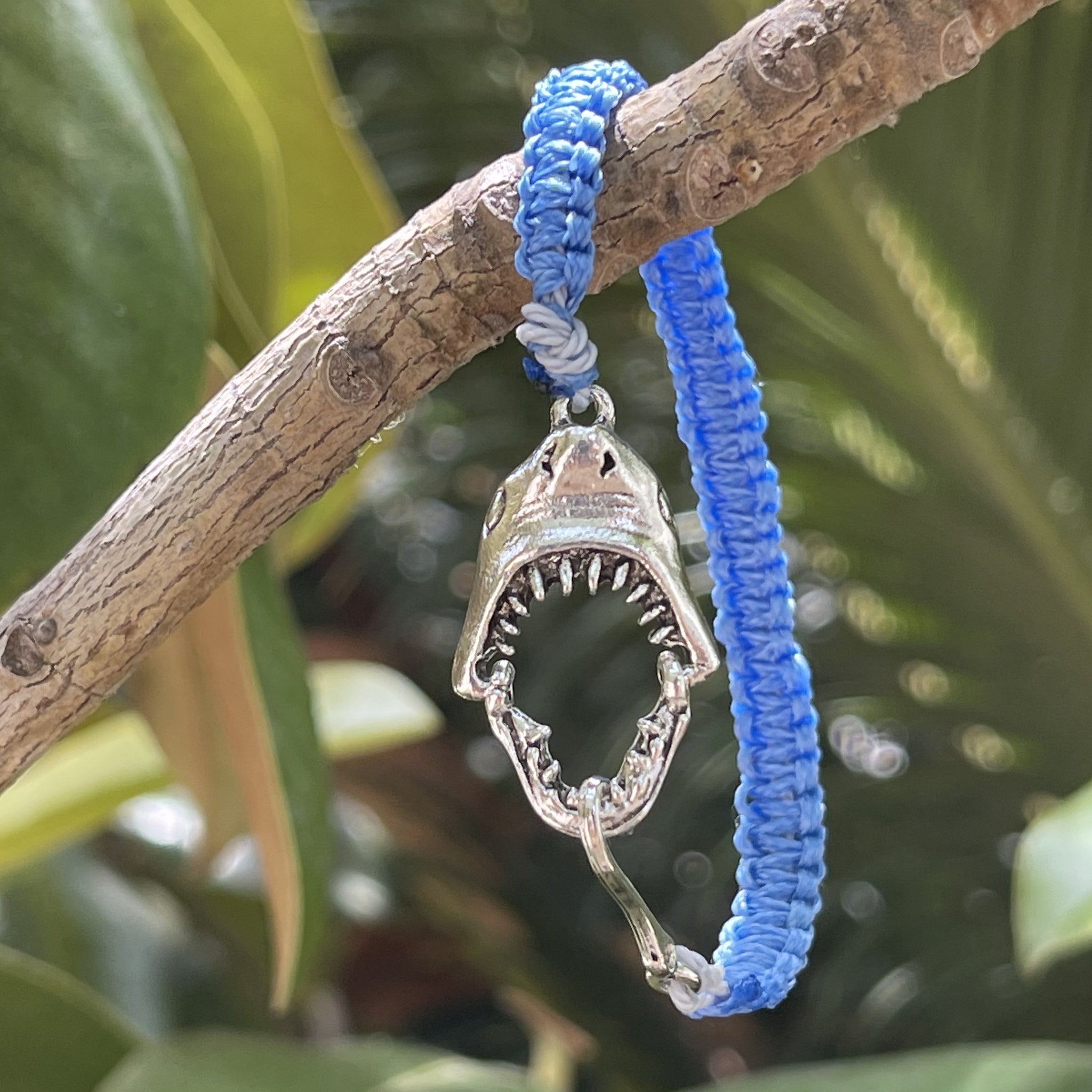 SHARK WEEK STYLES