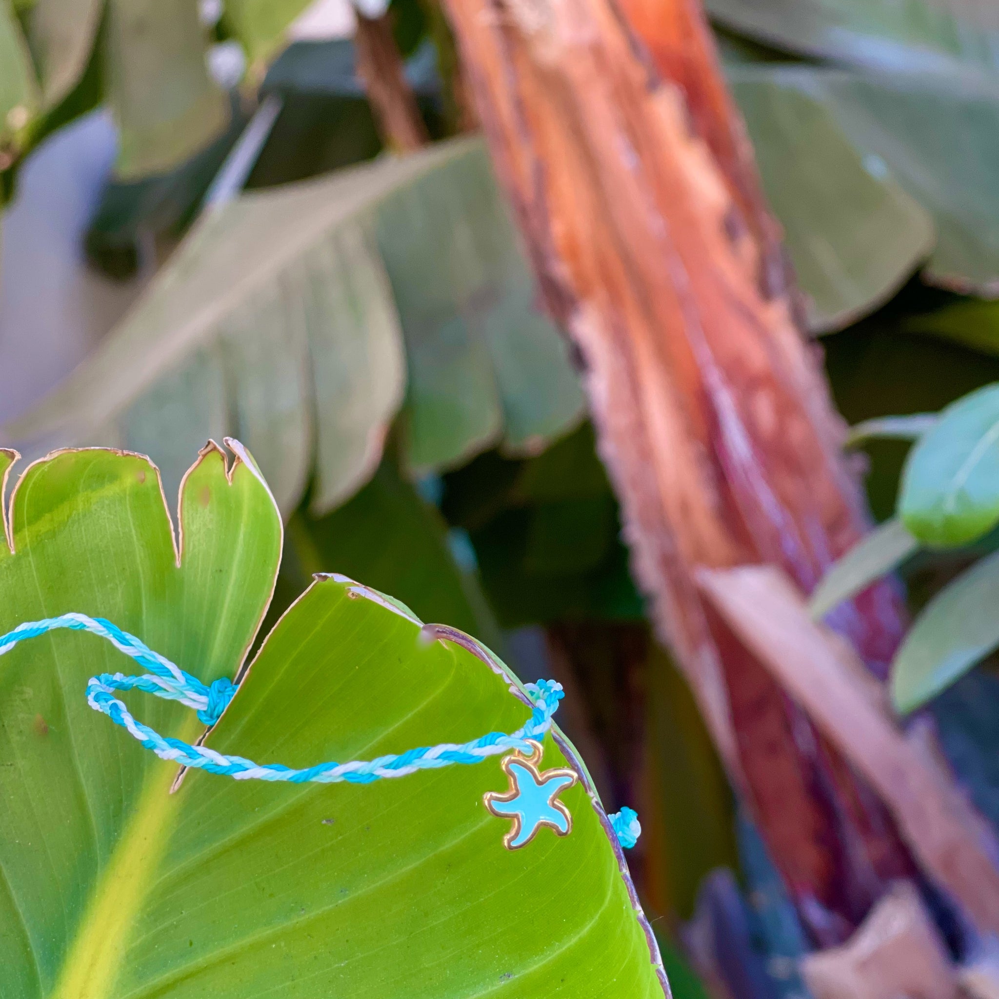Baby Starfish Arm Stack