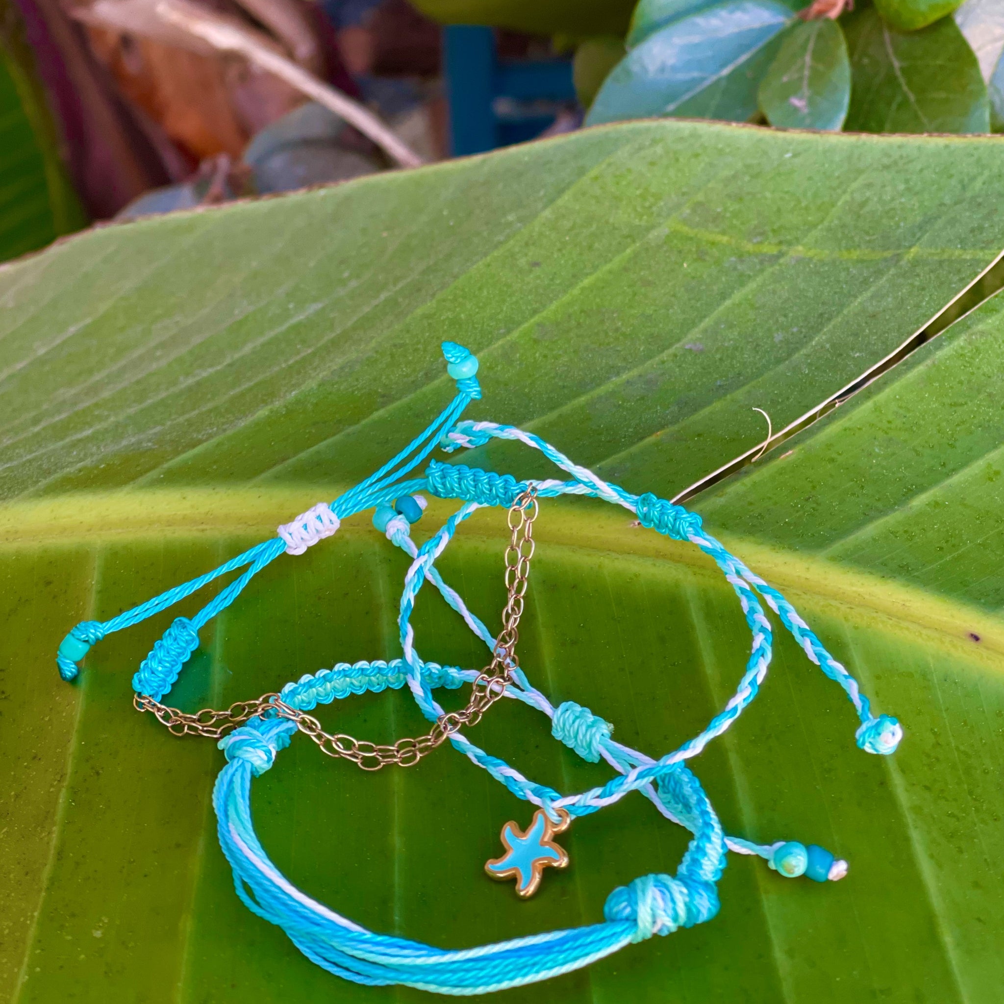 Baby Starfish Arm Stack