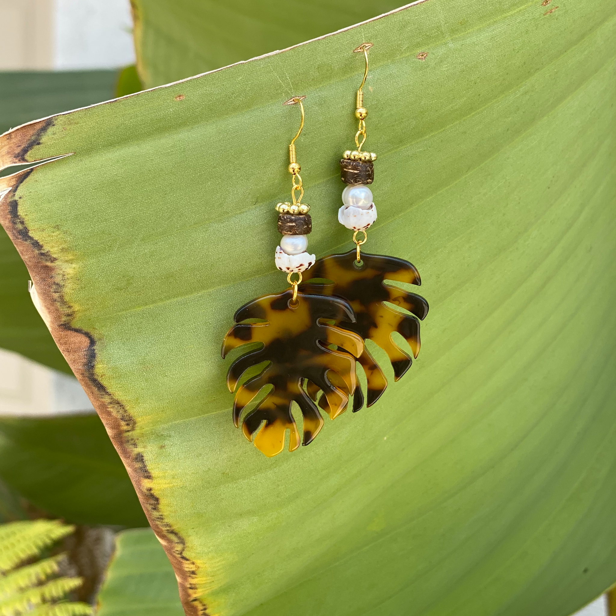 Tortoise Palm Fronds